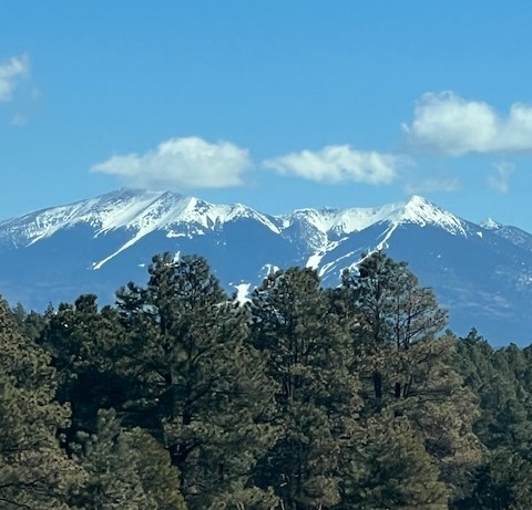 San Francisco Peaks on Grand Canyon tours from Flagstaff